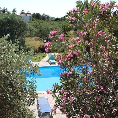 Villa Iatrou Potos Bagian luar foto